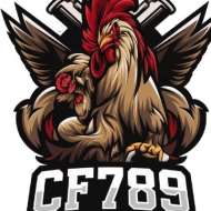 CF789 ART
